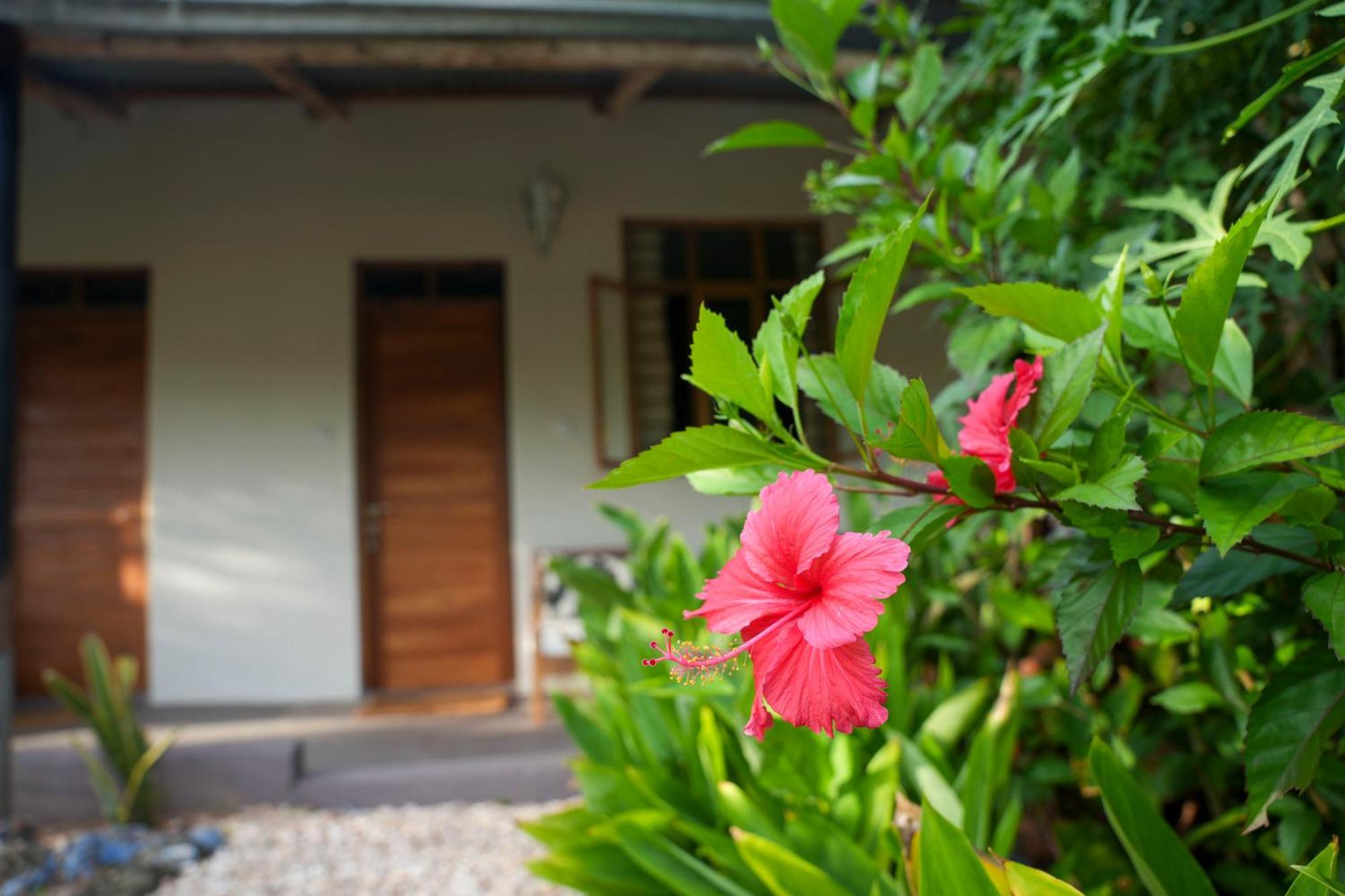 Kendwa Breeze Bungalows Luaran gambar